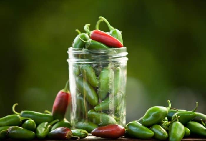 Fermented Peppers - Stone Family Farmstead