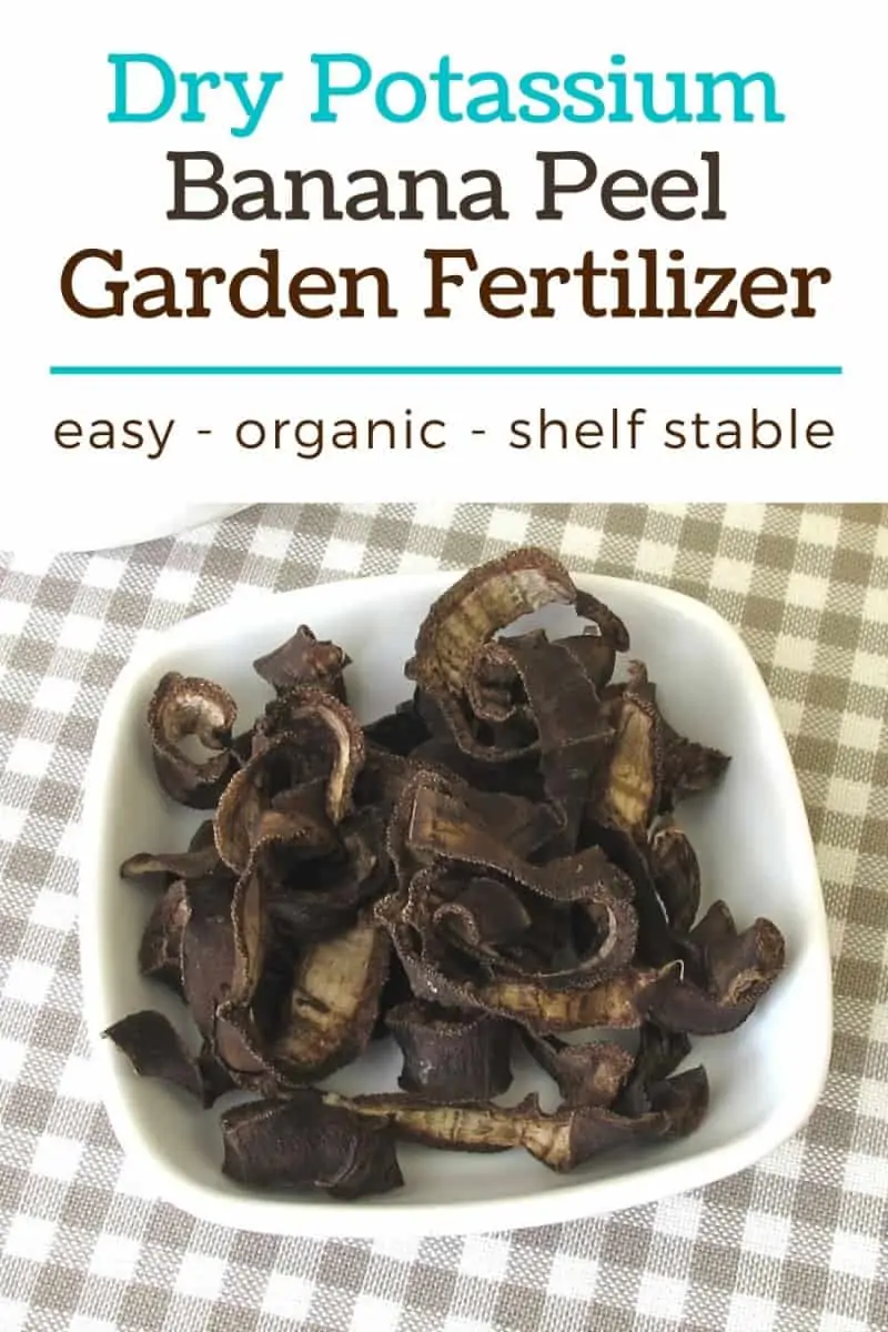How to Make an Easy, Shelf Stable Homemade Fertilizer from Banana Peels - Stone Family Farmstead
