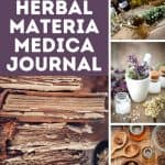 various photos of dried herbs - How to Make Your Own Materia Medica Journal - Stone Family Farmstead