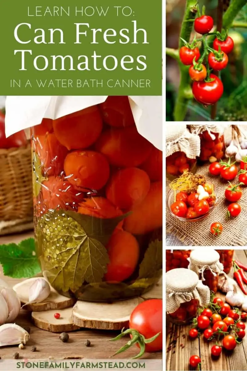How to: Water Bath Canning Tomatoes - Stone Family Farmstead