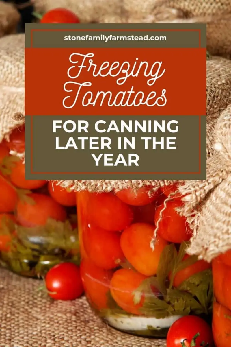 Freezing Tomatoes for Canning Later in the Year - Stone Family Farmstead