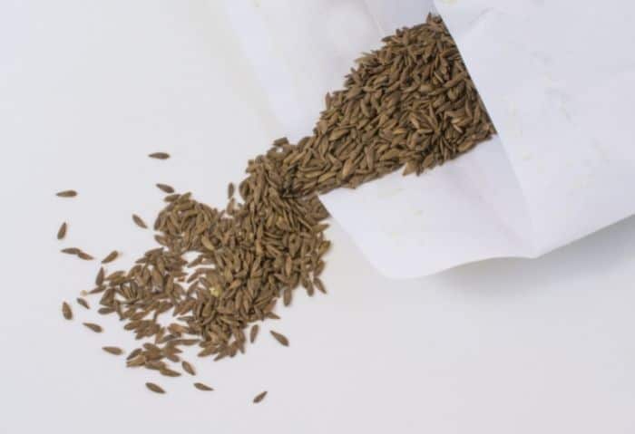 lettuce seeds