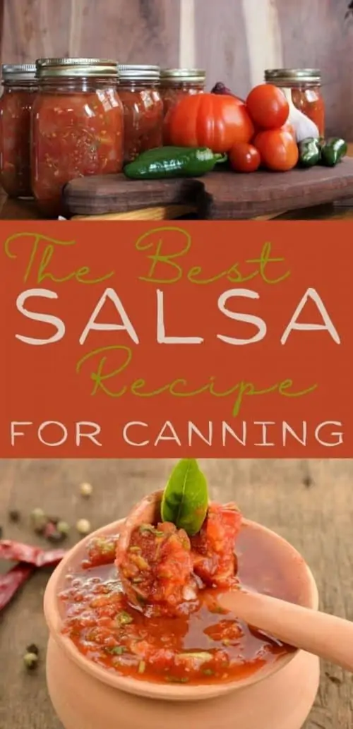 How to Make THE Best Salsa Recipe for Canning in a Water Bath