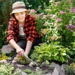 How to Prevent Weeds in the Vegetable Garden - Stone Family Farmstead