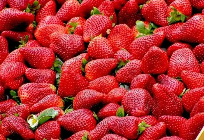 fresh strawberries - How to Make Strawberry Sauce {Using the Tops!} - Stone Family Farmstead