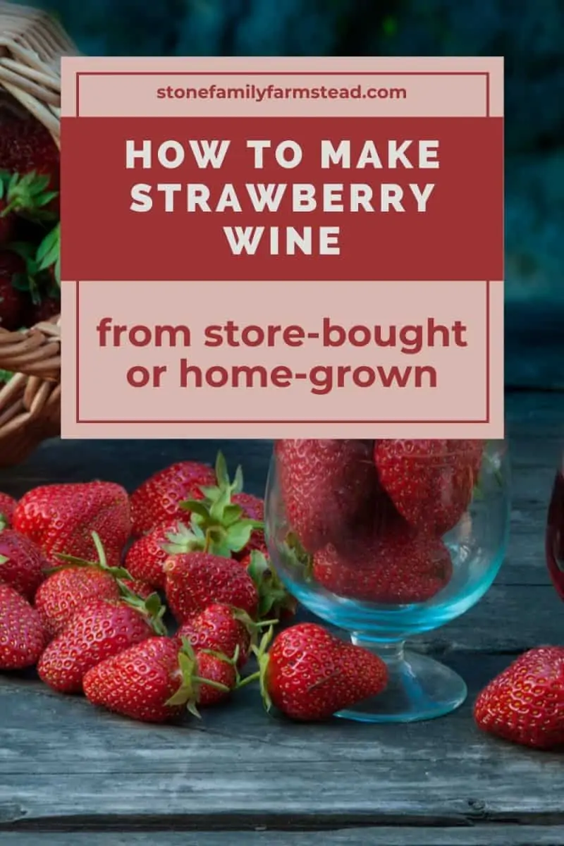 fresh strawberries - How to Make Strawberry Wine - Stone Family Farmstead