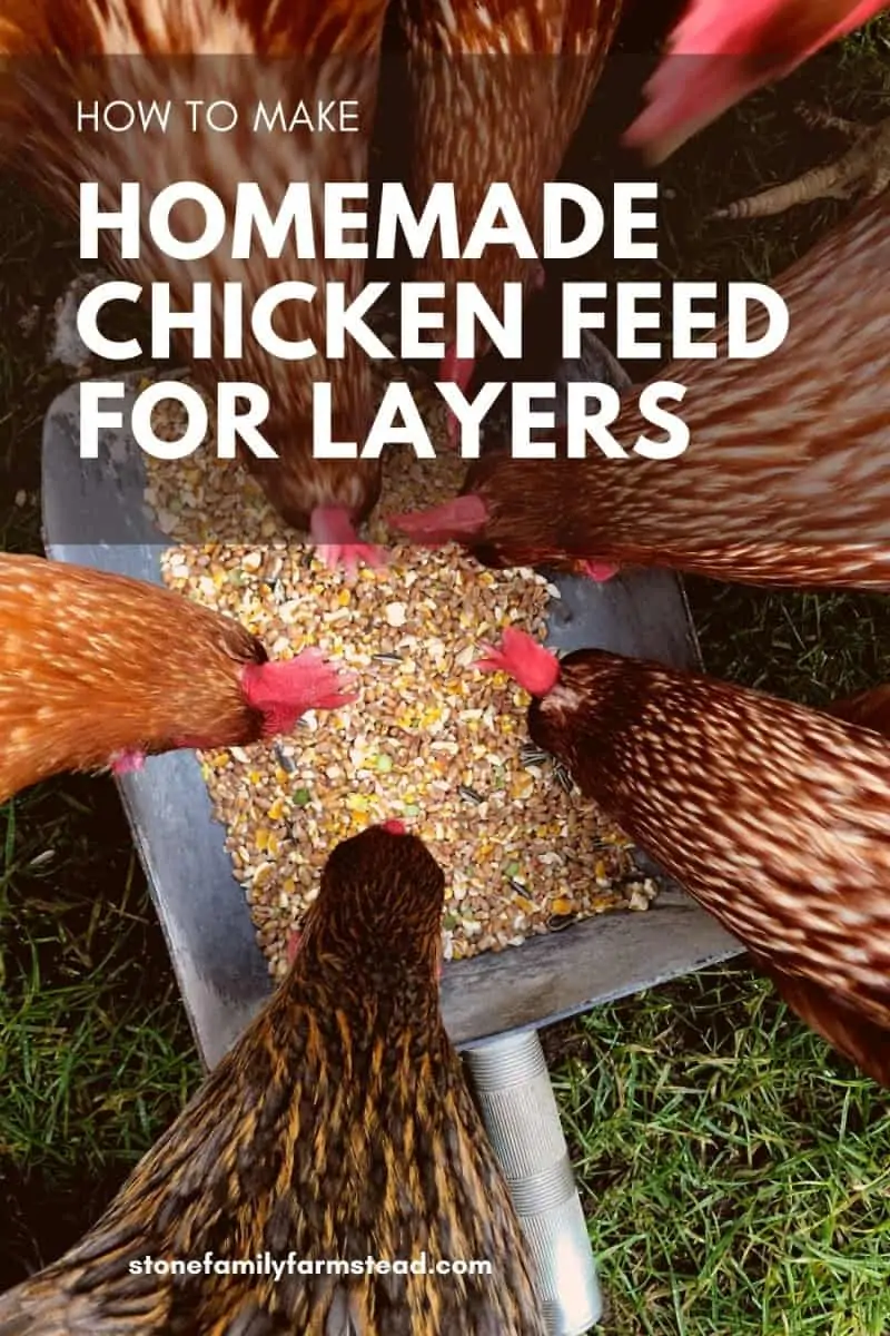 How to Make Chicken Feed for Layers 17.5% Nutrient-Rich and Non-GMO