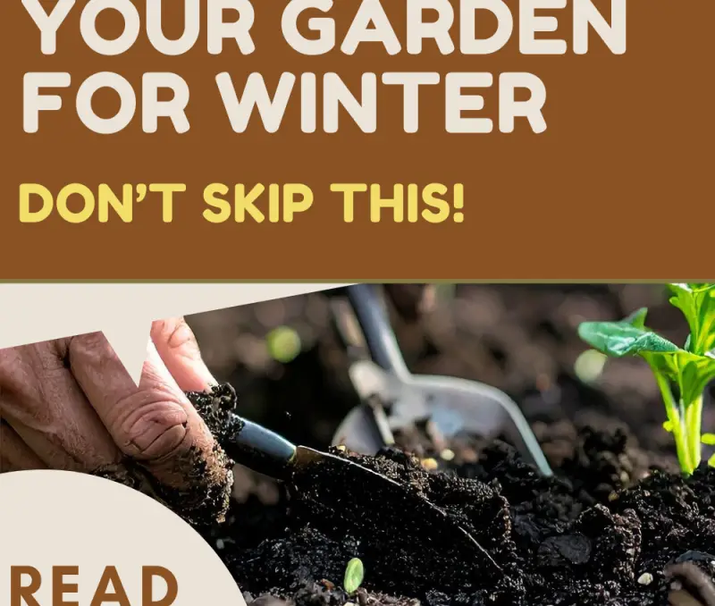 Prep your Garden Beds for Winter with these Tips